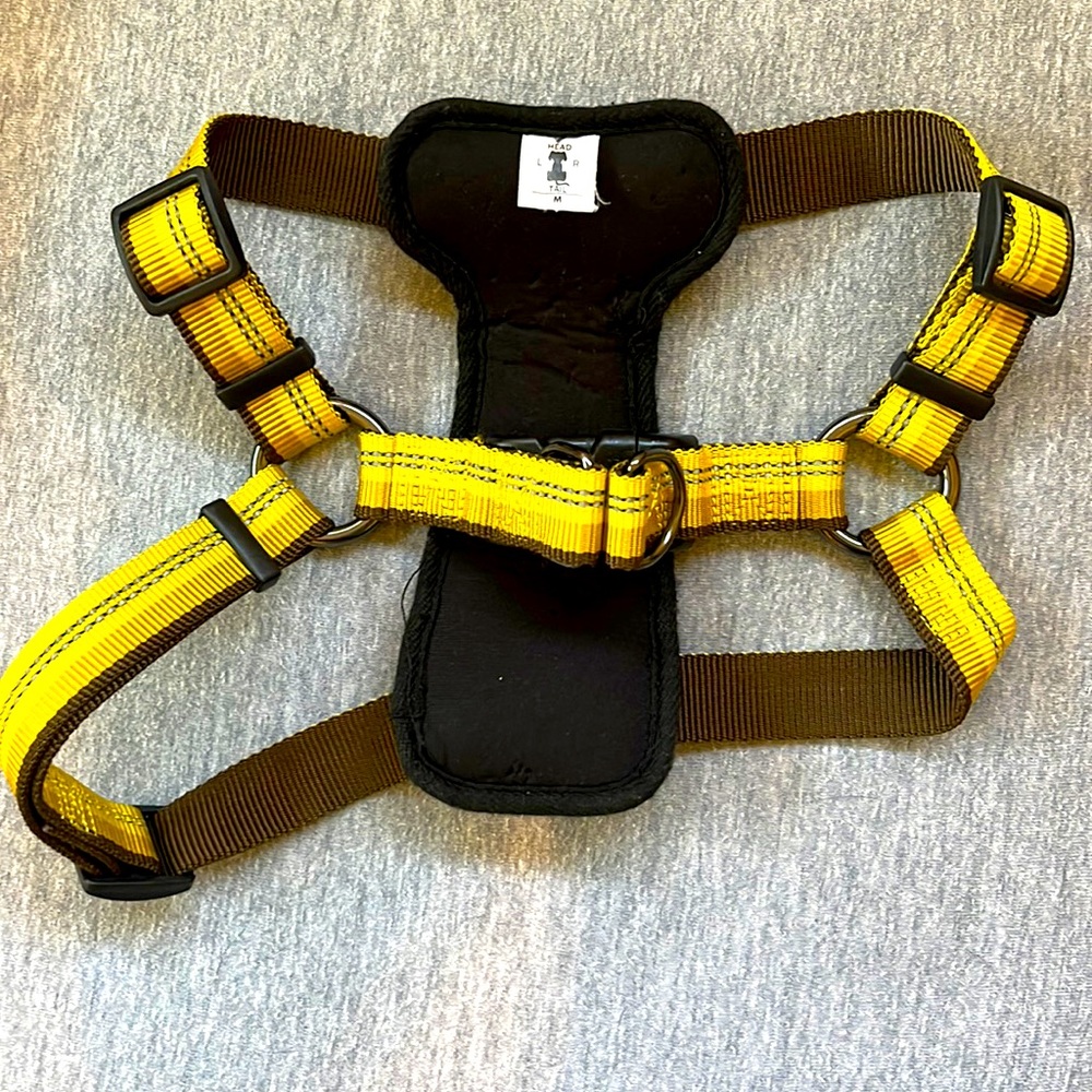 Puppy or Small Dog Harness